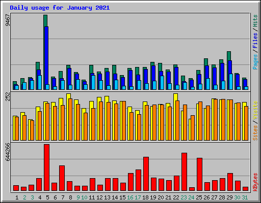 Daily usage for January 2021