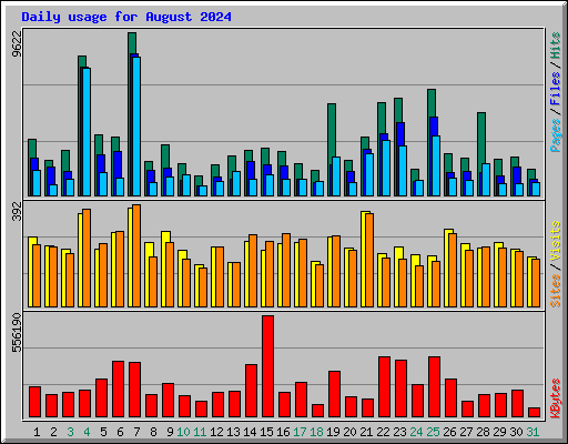 Daily usage for August 2024