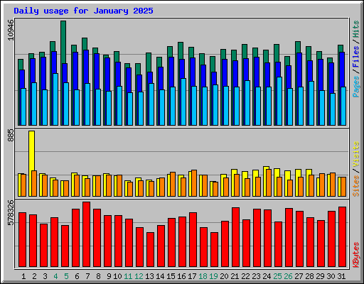 Daily usage for January 2025