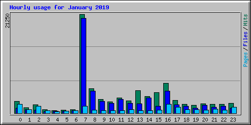 Hourly usage for January 2019