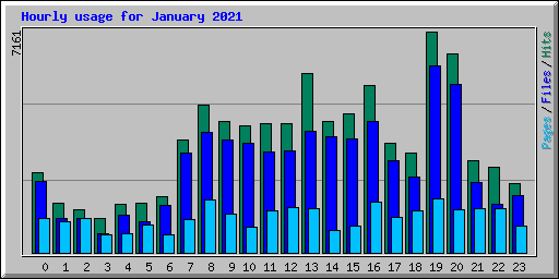 Hourly usage for January 2021