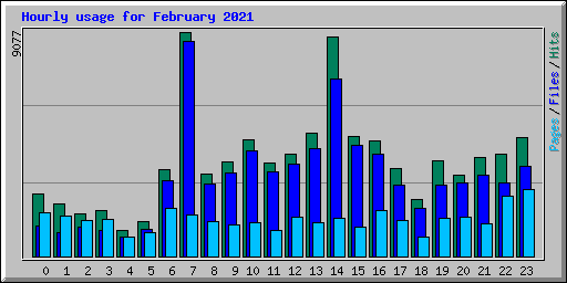 Hourly usage for February 2021