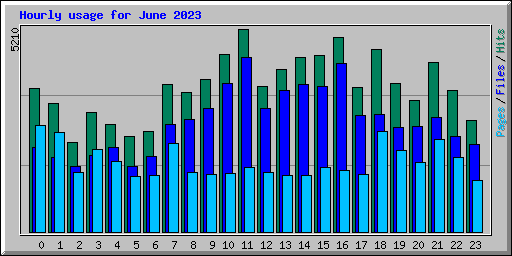 Hourly usage for June 2023