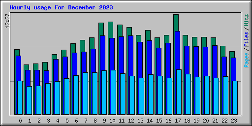 Hourly usage for December 2023