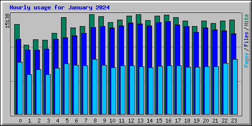 Hourly usage for January 2024