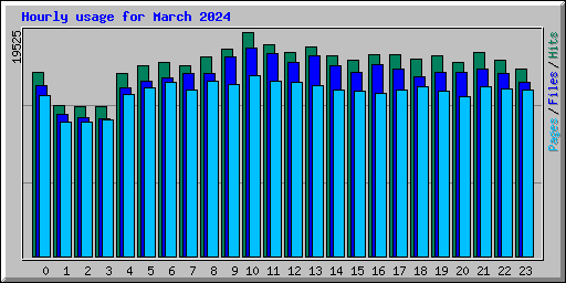 Hourly usage for March 2024