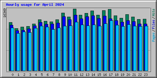 Hourly usage for April 2024