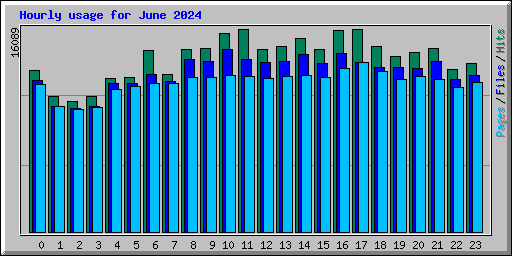 Hourly usage for June 2024