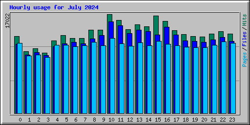 Hourly usage for July 2024