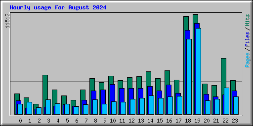 Hourly usage for August 2024