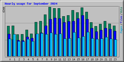 Hourly usage for September 2024