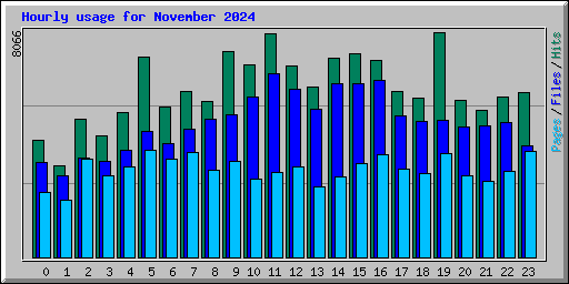 Hourly usage for November 2024