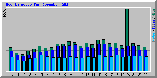 Hourly usage for December 2024