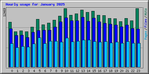 Hourly usage for January 2025