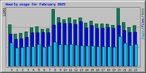 Hourly usage for February 2025