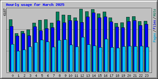 Hourly usage for March 2025