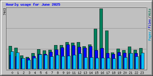 Hourly usage for June 2025