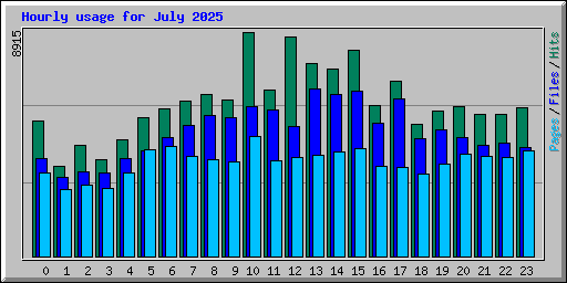 Hourly usage for July 2025