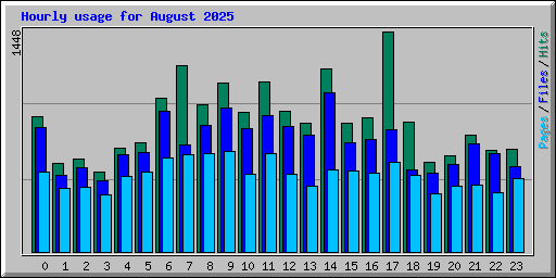 Hourly usage for August 2025