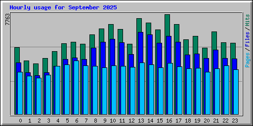 Hourly usage for September 2025