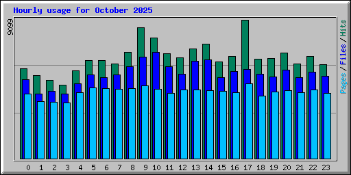 Hourly usage for October 2025