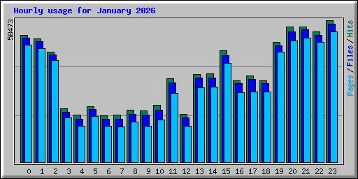 Hourly usage for January 2026
