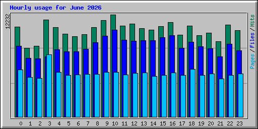 Hourly usage for June 2026