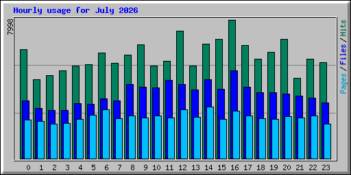 Hourly usage for July 2026